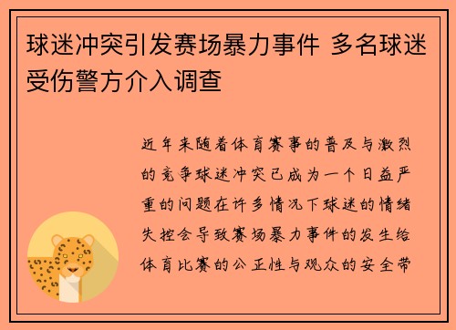球迷冲突引发赛场暴力事件 多名球迷受伤警方介入调查